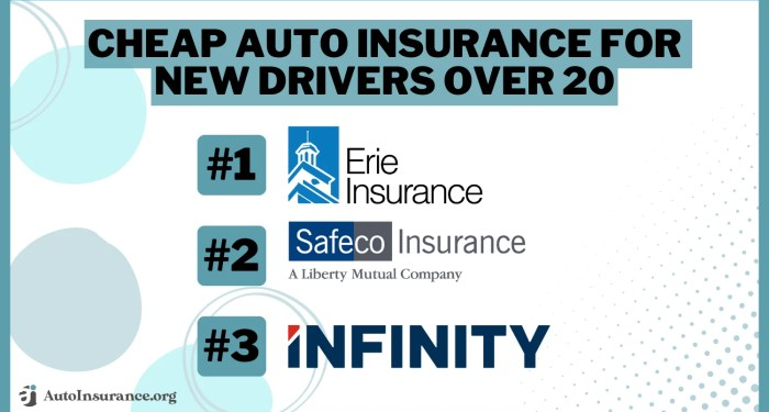 Cheap Auto Insurance for New Drivers Over 20 in 2025 (Top 9 Companies ...